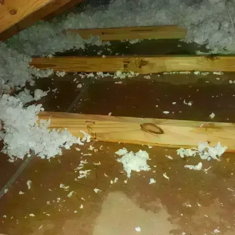 Attic Water Damage in Moraga, CA